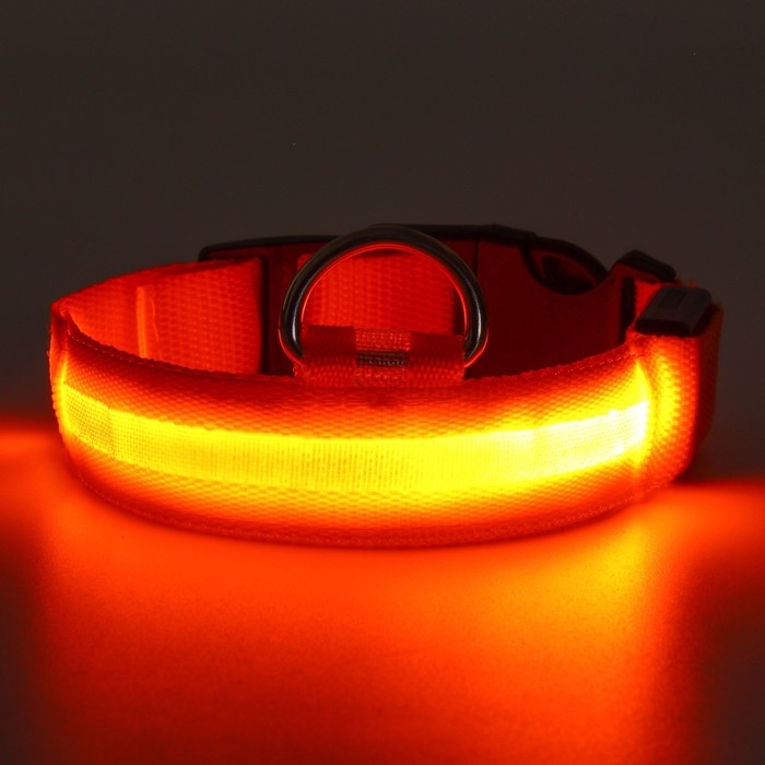 Ошейник с подсветкой размер М, ОШ 40-48 х 2,5 см, 3 режима свечения оранжевый Ошейник с подсветкой размер М, ОШ 40-48 х 2,5 см, 3 режима свечения оранжевый