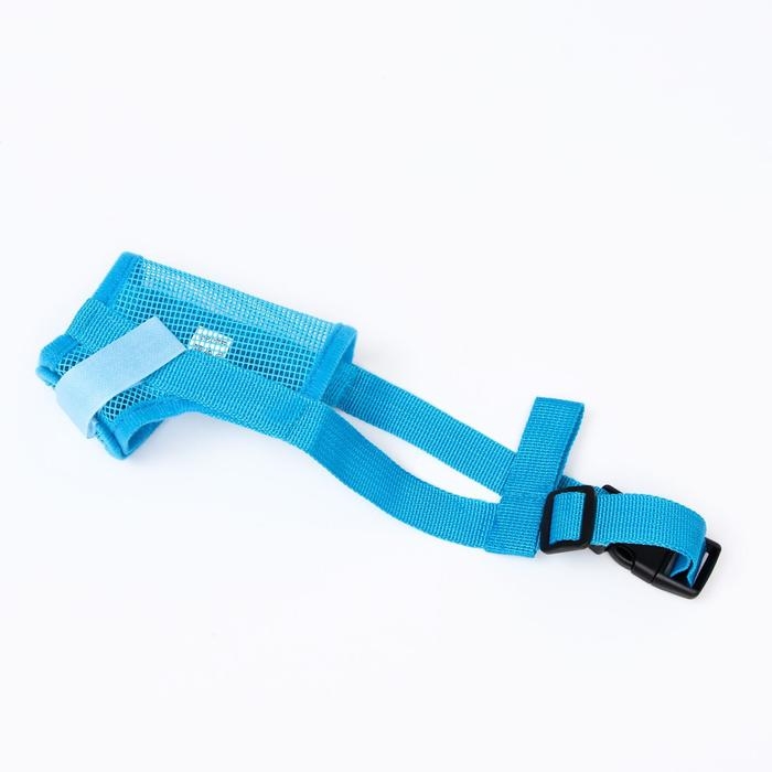 Намордник сетчатый с двойной фиксацией, размер M (длина по носу 10 см, обхват морды 20 см), голубой Намордник сетчатый с двойной фиксацией, размер M (длина по носу 10 см, обхват морды 20 см), голубой