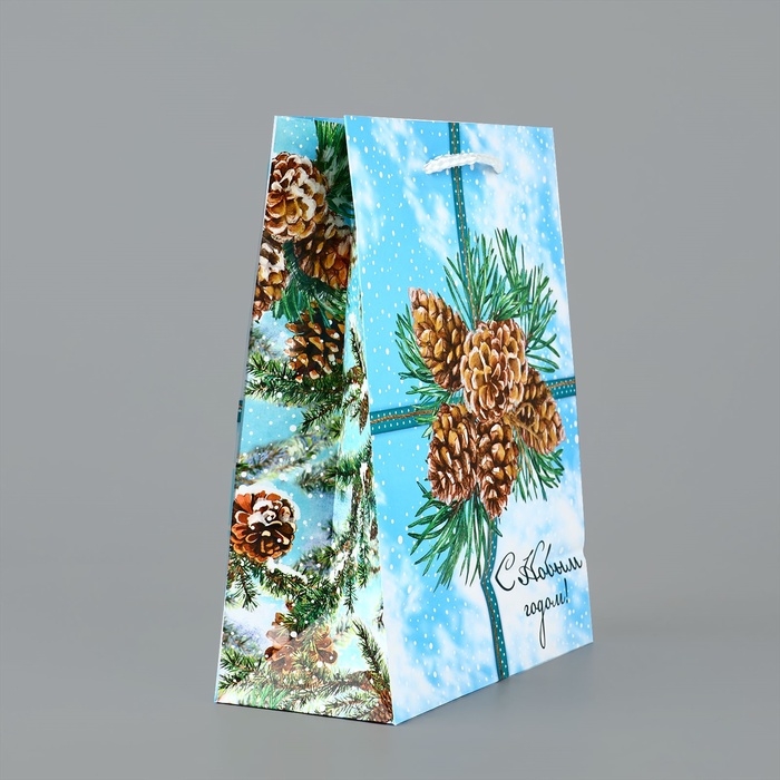 Пакет подарочный новогодний ламинированный «С Новым годом», шишки, MS 18 х 23 х 8 см, Новый год Пакет подарочный новогодний ламинированный «С Новым годом», шишки, MS 18 х 23 х 8 см, Новый год