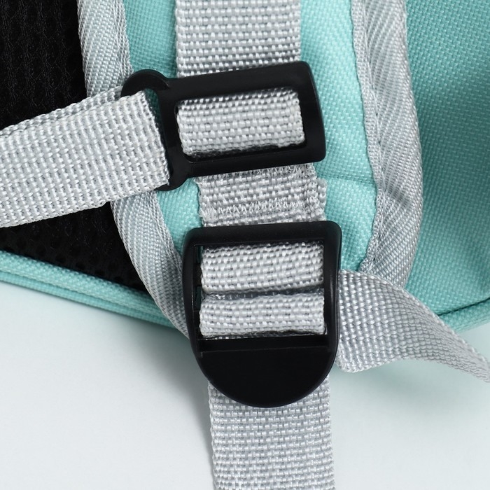 Рюкзак для переноски кошек и собак, с окном для обзора, зелёный Рюкзак для переноски кошек и собак, с окном для обзора, зелёный