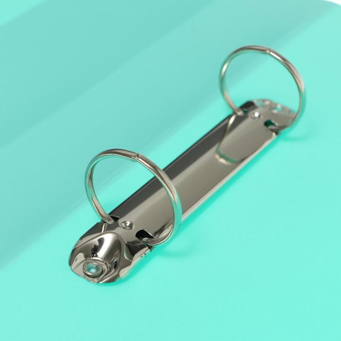 Папка на 2 кольцах А4 Calligrata, 40мм, 700мкм, карман на торце, ледяной зеленый Папка на 2 кольцах А4 Calligrata, 40мм, 700мкм, карман на торце, ледяной зеленый