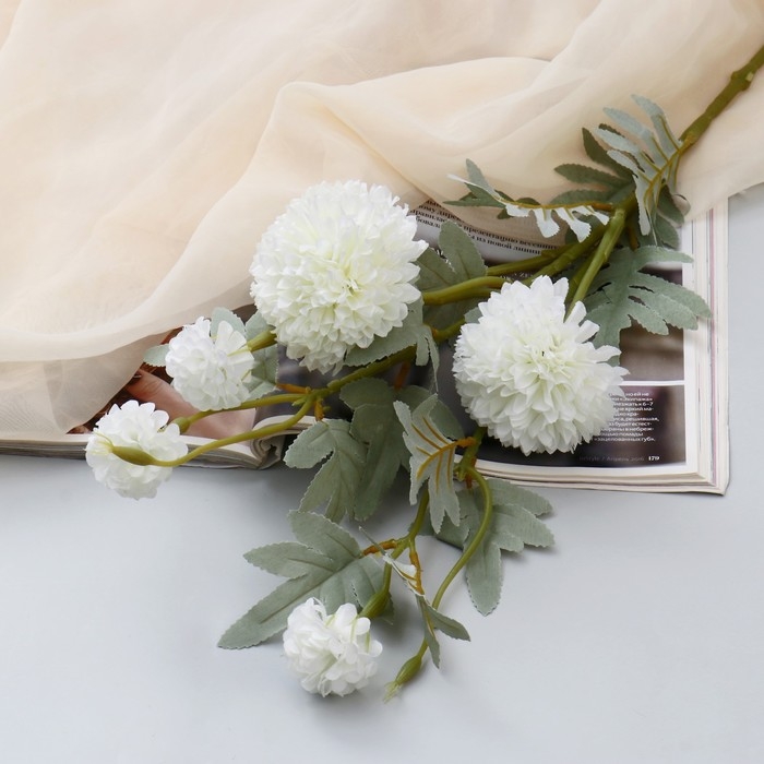 Цветы искусственные Цветы искусственные "Астра китайская Балун" 77 см, белый