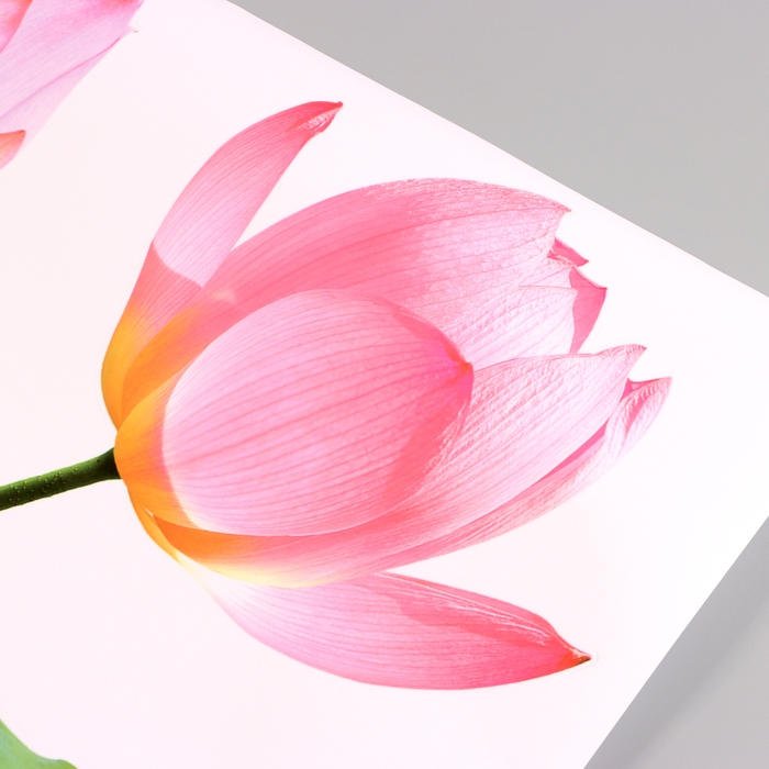 Наклейка 3Д интерьерная Лотос 110*60см Наклейка 3Д интерьерная Лотос 110*60см