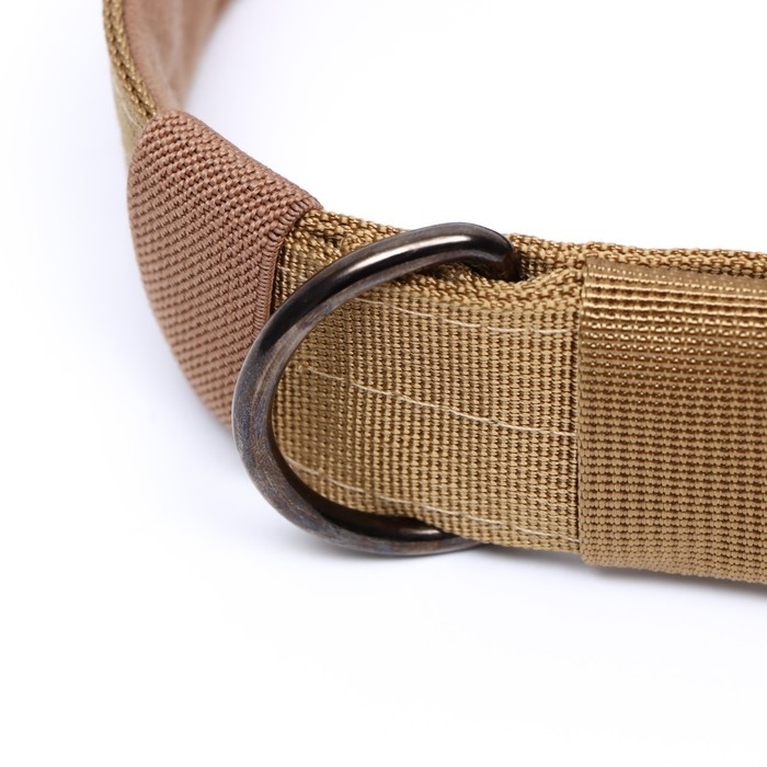 Ошейник с мягкой подкладкой, 59 х 4 см, ОШ 35-45 см, песочный Ошейник с мягкой подкладкой, 59 х 4 см, ОШ 35-45 см, песочный