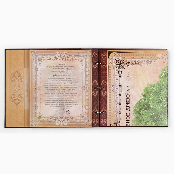 Родословная книга с рамкой под фото «Родословная книга», под дерево, 50 листов, 21,5 х 23,7 см. Родословная книга с рамкой под фото «Родословная книга», под дерево, 50 листов, 21,5 х 23,7 см.