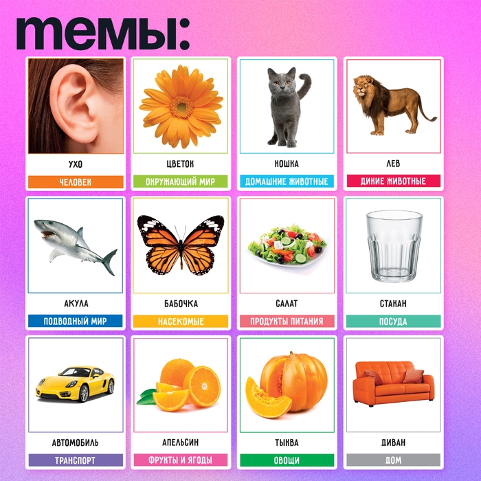 Развивающий набор «200 слов», учимся и развиваемся, по методике Глена Домана Развивающий набор «200 слов», учимся и развиваемся, по методике Глена Домана