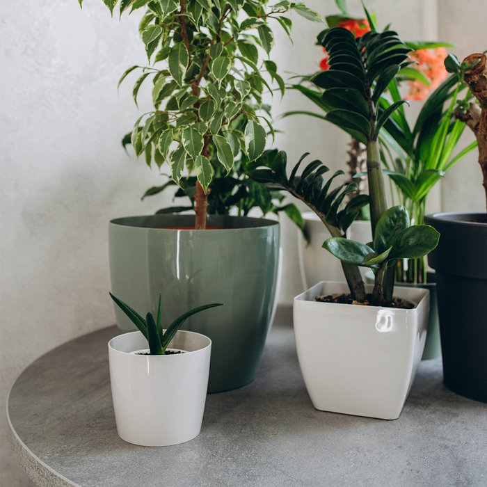 Горшок для цветов, d = 12,5 см, 1 л, пластик, бежевый Горшок для цветов, d = 12,5 см, 1 л, пластик, бежевый