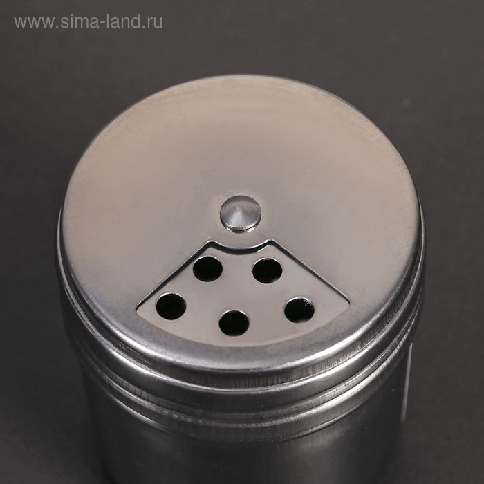 Солонка из нержавеющей стали «Элиас», 150 мл, 5,4×7,5 см Солонка из нержавеющей стали «Элиас», 150 мл, 5,4×7,5 см