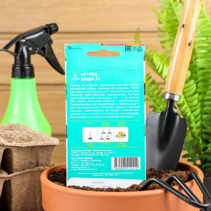 Семена Огурец  Семена Огурец "Маша" F1, партенокарпический, 5 шт.