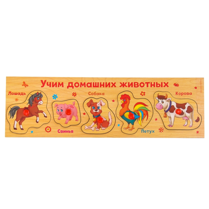 Рамка - вкладыш «Учим домашних животных», 5 элементов Рамка - вкладыш «Учим домашних животных», 5 элементов
