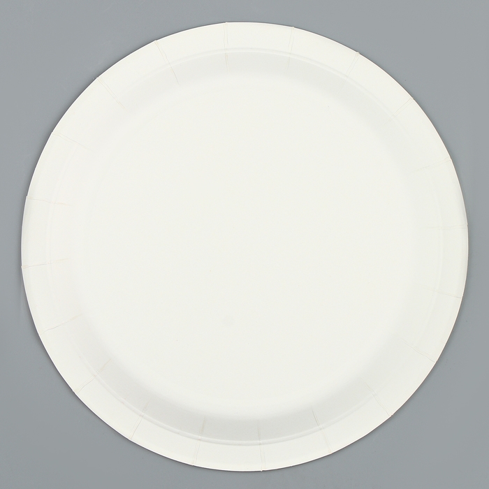 Тарелки бумажные &laquo;Летние краски&raquo;, 6 шт.