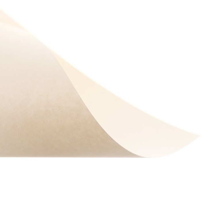 Бумага для пастели А4, 10 листов,  Бумага для пастели А4, 10 листов, "Архитектура", бумага слоновая кость, ГОЗНАК, тиснение "холст", блок 200 г/м2, в папке