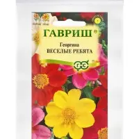 Семена Георгина воротничковая &laquo;Веселые ребята&raquo;, 0.5 г, &laquo;Гавриш&raquo;