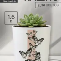 Кашпо для цветов &laquo;Бабочки&raquo;, 1.6 л, d=14 см, h=14 см, пластиковое