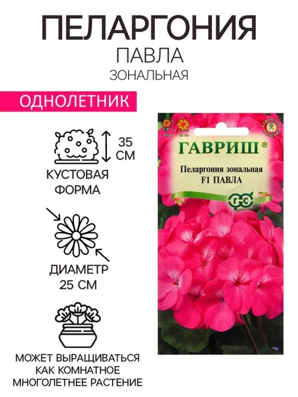 Семена Пеларгония "Павла", ц/п,  F1, 4 шт.