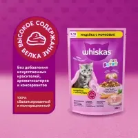 Сухой корм Whiskas для котят, индейка/морковь/молоко, подушечки, 350 г