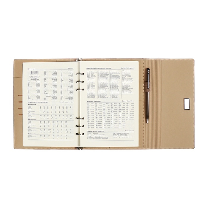 Органайзер на кольцах А5, 100л, линия, к/зам, с ручкой, в подар. короб., Серый Органайзер на кольцах А5, 100л, линия, к/зам, с ручкой, в подар. короб., Серый