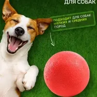 Игрушка для собак &laquo;Цельнолитой шар&raquo;, большая, 5 см, каучук, красная
