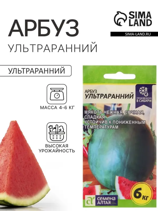 Семена Арбуз &laquo;Ультраранний&raquo;, 1 г, &laquo;Семена Алтая&raquo;