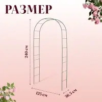 Арка садовая, 240&times;125&times;36.5 см, для вьющихся растений, металлическая, зелёная, Greengo