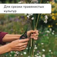 Ножницы садовые, 8" (20 см), с пластиковыми ручками, Greengo