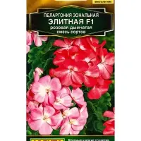 Семена цветов Пеларгония Элитная F1 розовая дымчатая, смесь сортов Мн Золотая серия, Ц/П,5 шт. 10945 Семена цветов Пеларгония Элитная F1 розовая дымчатая, смесь сортов Мн Золотая серия, Ц/П,5 шт. 10945