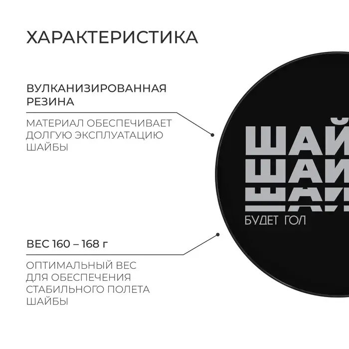 Шайба хоккейная Winter Star, взрослая, d=7.6 см