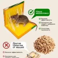 Клеевая ловушка-книжка от грызунов SAFEX, с запахом арахиса, 1 шт.