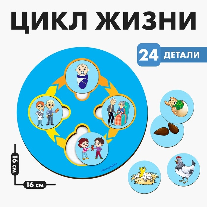 Развивающая игра из дерева «Цикл жизни» Развивающая игра из дерева «Цикл жизни»