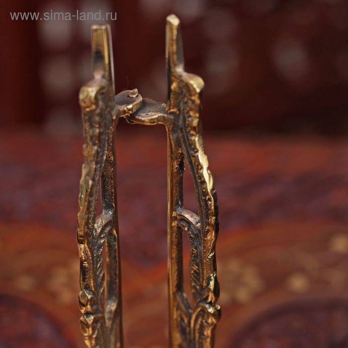 Подставка для книг латунь  Подставка для книг латунь "Классика" 15х10х0,5 см