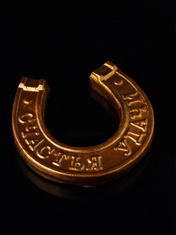 Сувенир Сувенир "Подкова на счастье" с подвесом, 12х12х1 см, бронза