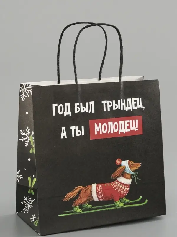 Пакет подарочный крафт &laquo;Молодец&raquo;, 22&times;22&times;11 см
