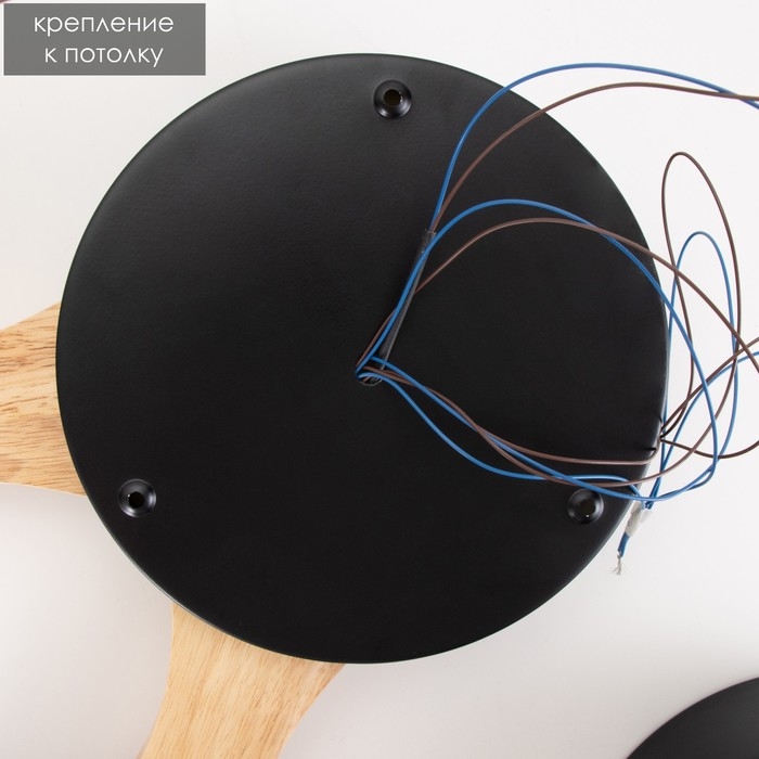 Люстра "Пиатти" 4LED 96Вт 3000-6000К черный 65х48х5 см BayerLux