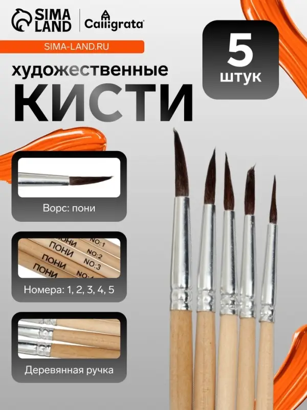 Набор кистей для рисования, пони, 5 штук: № 1, 2, 3, 4, 5, круглые, деревянная ручка, международный размер