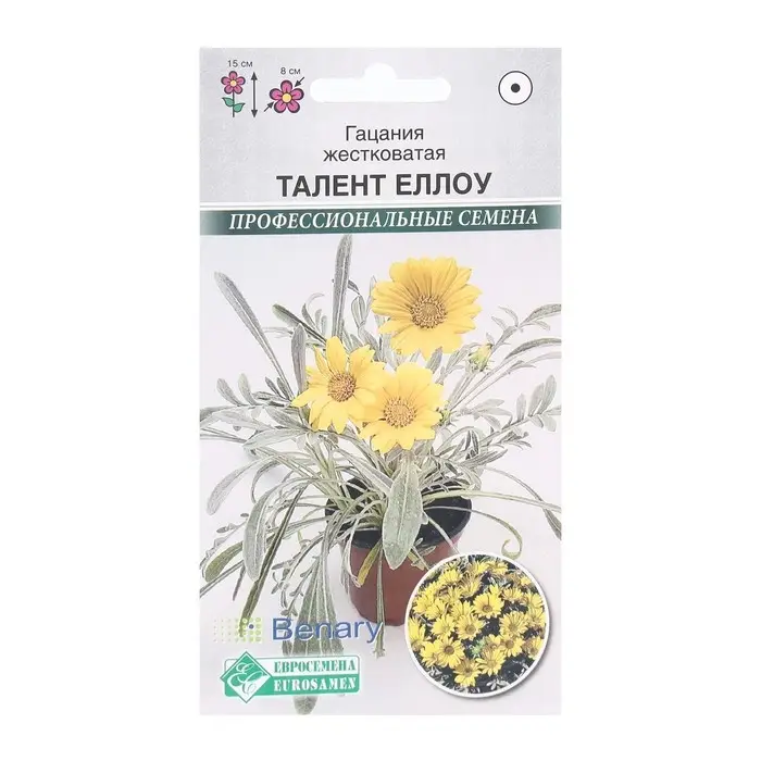 Семена Цветов Гацания жестковатая Талент Еллоу, 5 шт Семена Цветов Гацания жестковатая Талент Еллоу, 5 шт