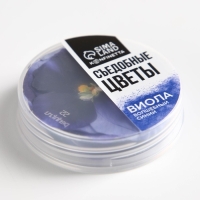 Цветы съедобные &laquo;Виола&raquo; для капкейков, тортов, куличей, напитков, 5 шт.