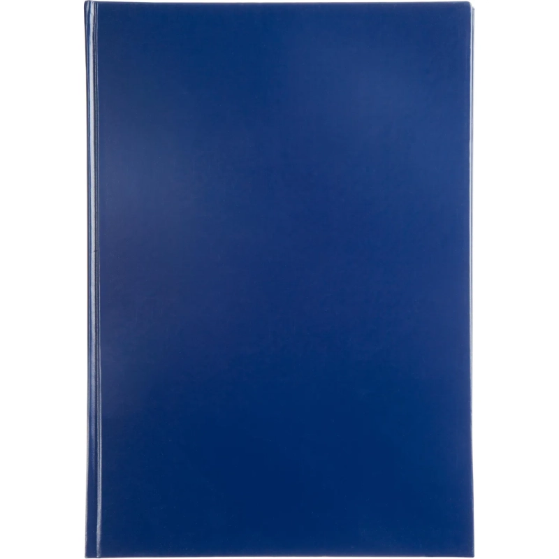 Книга учета -120л. в клетку офсет, обл. бумвинил