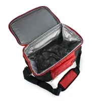 Термосумка AVS TC-10 (10 л.)