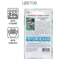 Семена цветов Мимоза "Лирика", стыдливая, розовая, Евро, 0,1 г Семена цветов Мимоза "Лирика", стыдливая, розовая, Евро, 0,1 г
