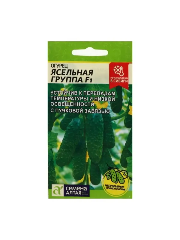 Семена Огурец "Ясельная Группа",  F1, 5 шт
