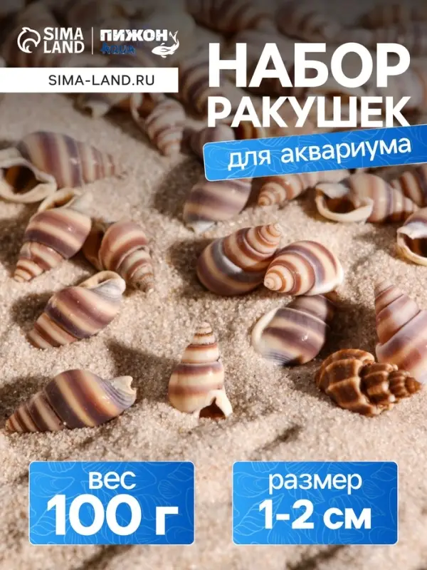 Набор ракушек, 1 - 2 см, 100 г