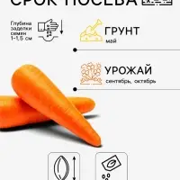 Семена на ленте Морковь &laquo;Канада&raquo;, F1, 8 м, &laquo;Аэлита&raquo;