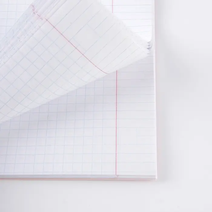 Тетрадь в клетку, предметная, 48 л.,на скрепке, А5 &laquo;ВЕЛИКИЕ ЛИЧНОСТИ. Алгебра&raquo;