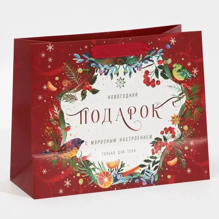 Пакет подарочный новогодний ламинированный «С морозным настроением», MS 18 х 23 х 10 см