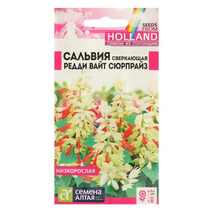 Семена цветов Сальвия  Семена цветов Сальвия "Редди Вайт", сюрпрайз, сверкающая, Сем. Алт, ц/п, 5 шт
