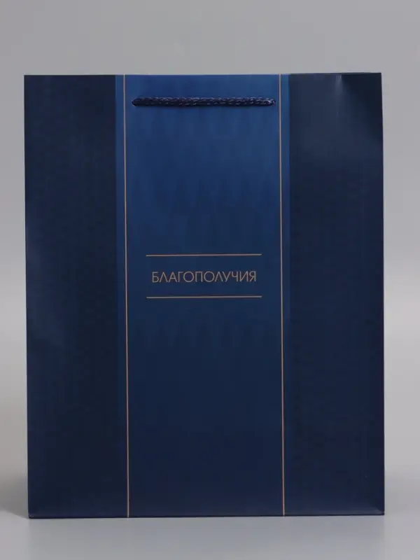 Пакет подарочный "Лаконичный комплимент" ламинированный 26 х 12 х 32 см