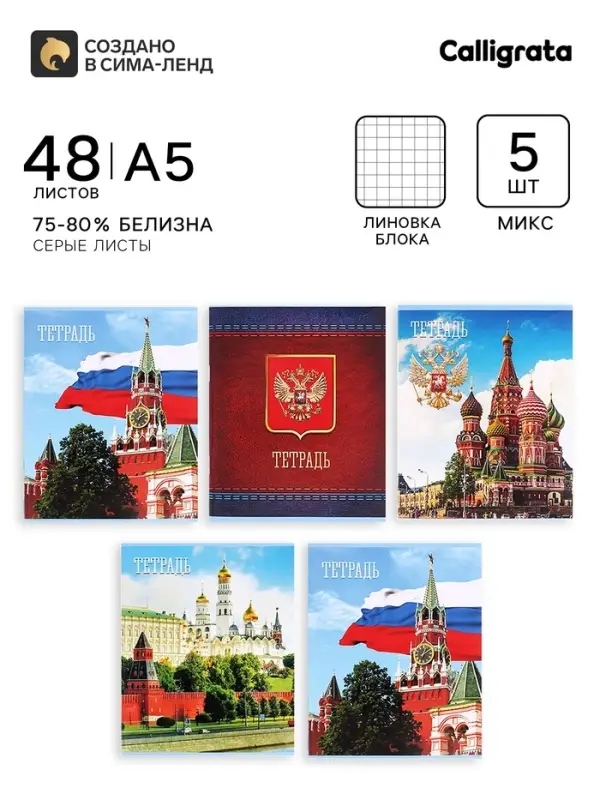 Тетради 48 листов в клетку &laquo;Россия&raquo;, серые листы, 5 штук