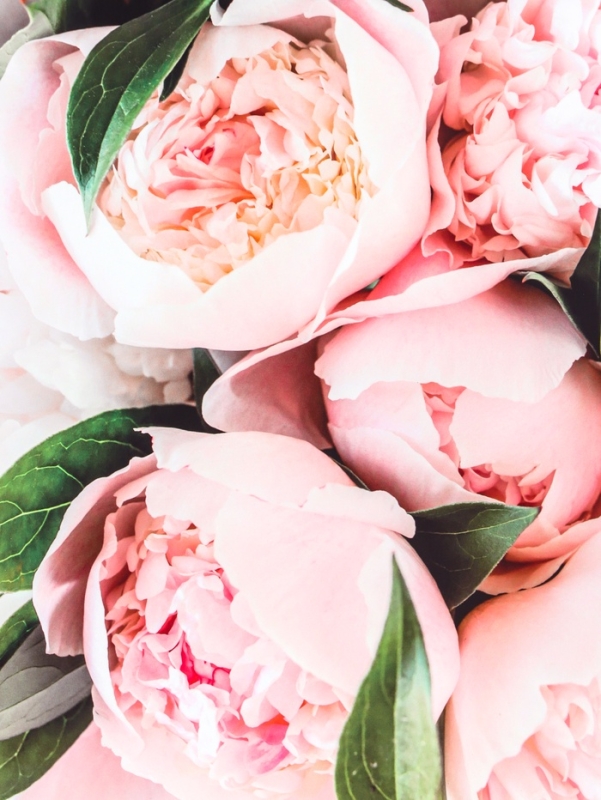 Пакет подарочный ламинированный горизонтальный «Белые бутоны», L 40 × 31 × 14 см