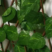 Ограждение декоративное &laquo;Лист берёзы&raquo;, 120&times;40 см, Greengo