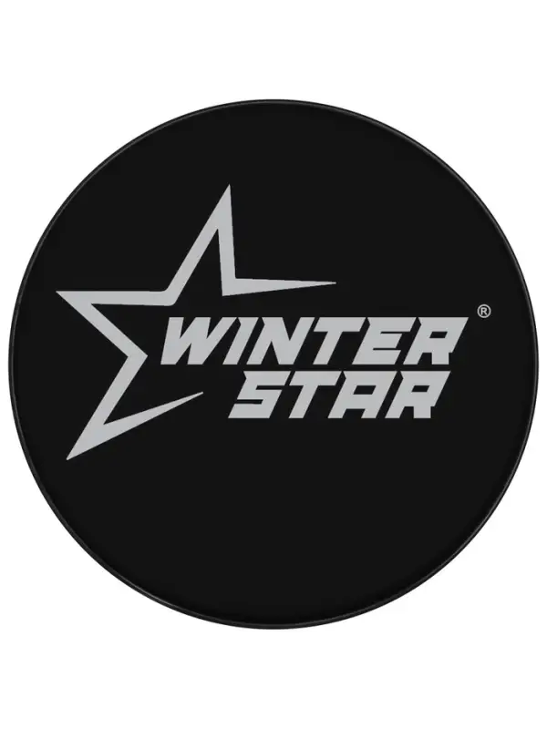 Шайба хоккейная Winter Star, детская, d=6 см